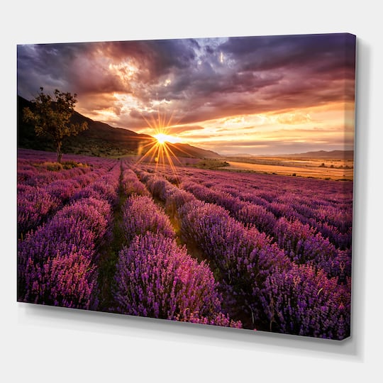 Designart - Sunrise & Dramatic Clouds Over Lavender Field IV